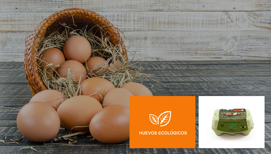 Huevos ecológicos