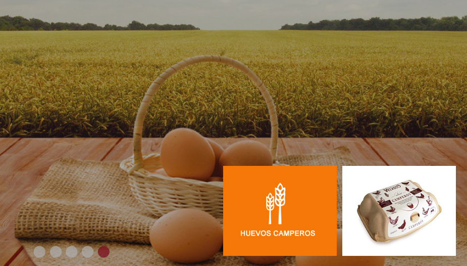 Huevos camperos
