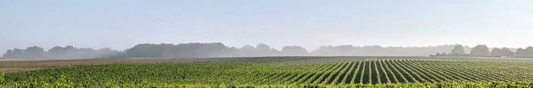 Imagen de cabecera sobre Sostenibilidad