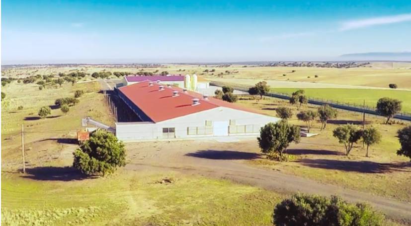 Portada del video Huevos Velasco